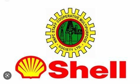 Unlocking Opportunities: Shell Nigeria University Scholarship 2025 – Application Guide and Benefits